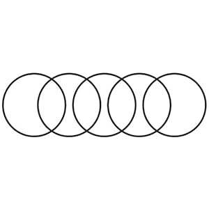 Sourcing Map 5 Stück O-Ringe Dichtungen