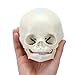 MIIRR Human Infant Skull, Life Size Fetal Model for Medical Education and Learning