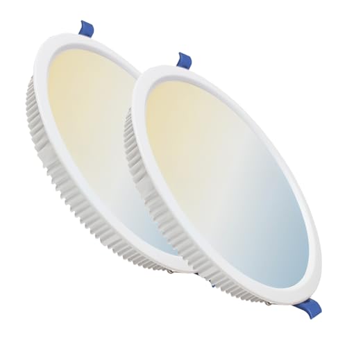 LED ATOMANT Pack 2x Panel Downlight LED Redondo 225mm 32W, CCT (Selector de Color Blanco Calido, Neutro y Frio), Corte 205mm, 2800 lumenes, Driver incluido