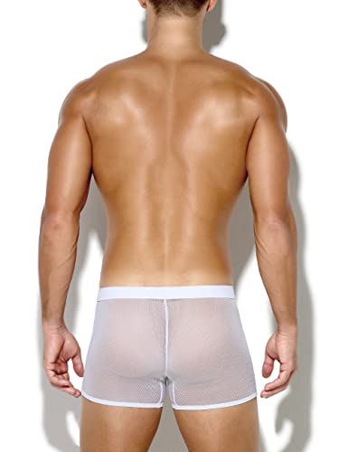Arjen Kroos Mens Sexy Mesh Underwear Breathable Low Rise Stretch Boxer Briefs4