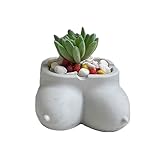 GRAINRAIN Body Silicone Ashtray Molds for Epoxy Resin, 3D Mini Cactus Flower Pot Vase Resin Molds for Concrete Cement, Cute Epoxy Resin Mold for Resin Casting, DIY Craft, Home Decor