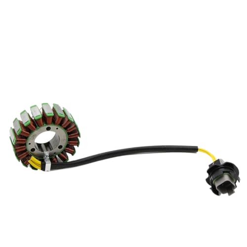 Bobine de stator de générateur de moto haute résistance 290888650