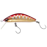 ハンドメイドルアー ハンドメイドルアー HM45S HIRA ・🍁🍁🍁 . . #HM45SHIRA