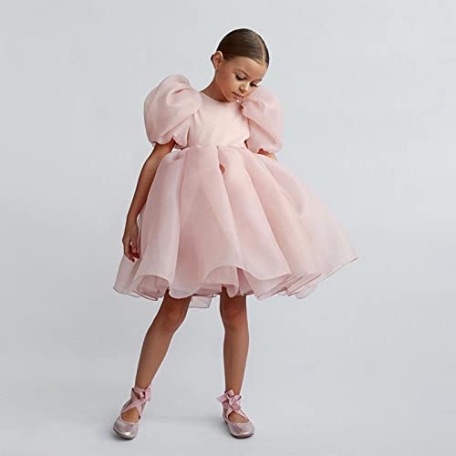 Kids Girls Puff Sleeve Dress Party Princess Dress 2~8 Years Short Sleeve Summer Backless Puffy Dresses Pageant2