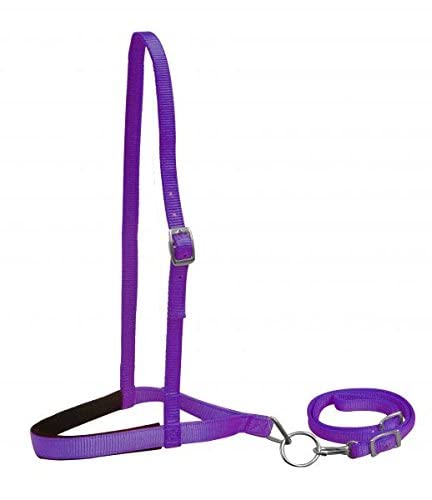 Showman Premium Nylon Noseband Tie Down w/Strap (Purple)