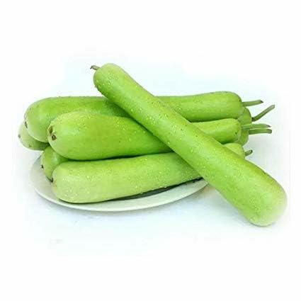 Pepino escarlata fresco 1 kg Ivy Gourd (Tindora) – Calabaza hiedra vegetal india | Ideal para sartén, curry y cocina tradicional con adhesivo Kajal (2 kg, calabaza botella)