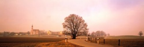 Tree & road Lansberg vicinity Germany Poster Print (18 x 6)
