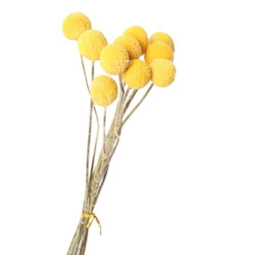 10 Flores Secas para Decoración Boho DIY miniatura 6