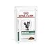 Royal Canin Veterinary Diabetic | Doppelpack | 2 x 12 x 85 g | Diät-Alleinfuttermittel für Katzen | Zur Regulierung der Glucoseversorgung | Mit feinen Stückchen in Soße