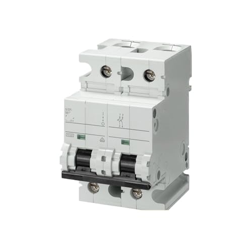 Disjoncteur miniature 5SP4 2P C80 robuste pour protection circuit