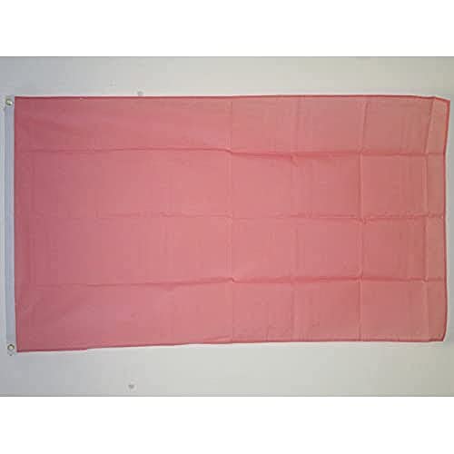 AZ FLAG, Plain Pink Flag, 2x3 Ft, 100D Polyester Pink Solid Color Banner with Two Metal Grommets, Fade Resistant