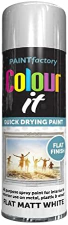 SuperGift.com Flat White Matt All Purpose Aerosol Spray Paint 250ml Quick Drying Spray, Fast Dry and Excellent Coverage for Metal, Wood, Plastic and More by Diva Gift