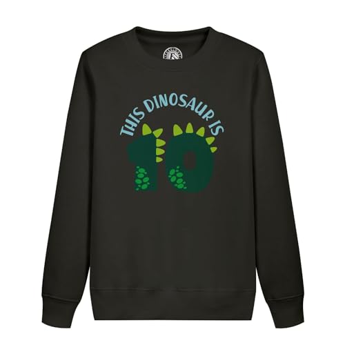 Sweatshirt enfant dinosaure pour fête anniversaire 10 ans