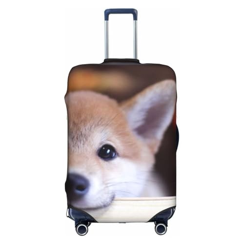 [JECASS]  13 lC 킢 X[cP[XJo[ Lkf 㕔JוJo[ \ X[cP[XveN^[ h~ X[cP[XJo[s o וm