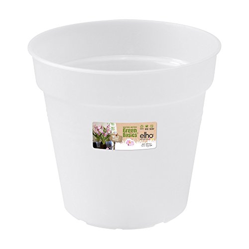 Elho 2055290 - Conceptos básicos de orquídeas Verdes del Maceta Creciente Transparentes de 13 x 13 x 12 cm