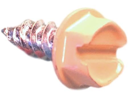 SCREWIT Brand Classic Cream Gutter & Downspout Zip Screws, #8 x 1/2 Inch Color-Matched Sheet Metal Screws with 1/4 Inch Hex Head, Self-Drilling,