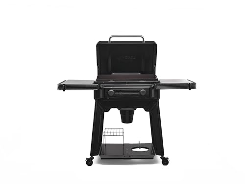 Traeger Grills Wasatch 26 2Zone Flat Top Griddle for Outdoor Cooking Propane Gas Griddle with TruZone DualZone Heat Even Heating EZClean Grease System Bundle + Essentials Kit