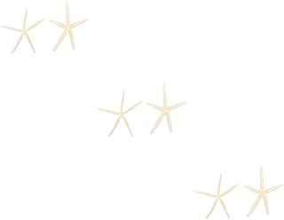 IMIKEYA 6 Peças Naturais Estrela Do Mar De Cinco Dedos Casamento Concha Artesanato Casamento Estrelas Do Mar Decoração Natural Estrela Do Mar Vasos De Casamento Decoração Estrela Madeira