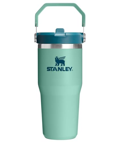 Image of STANLEY IceFlow 2.0 Flip Straw Tumbler with Handle 14 oz | Twist On Lid and Flip Up Straw | Leakproof Water Bottle | Insulated Stainless Steel | BPA-Free | Spring Green
