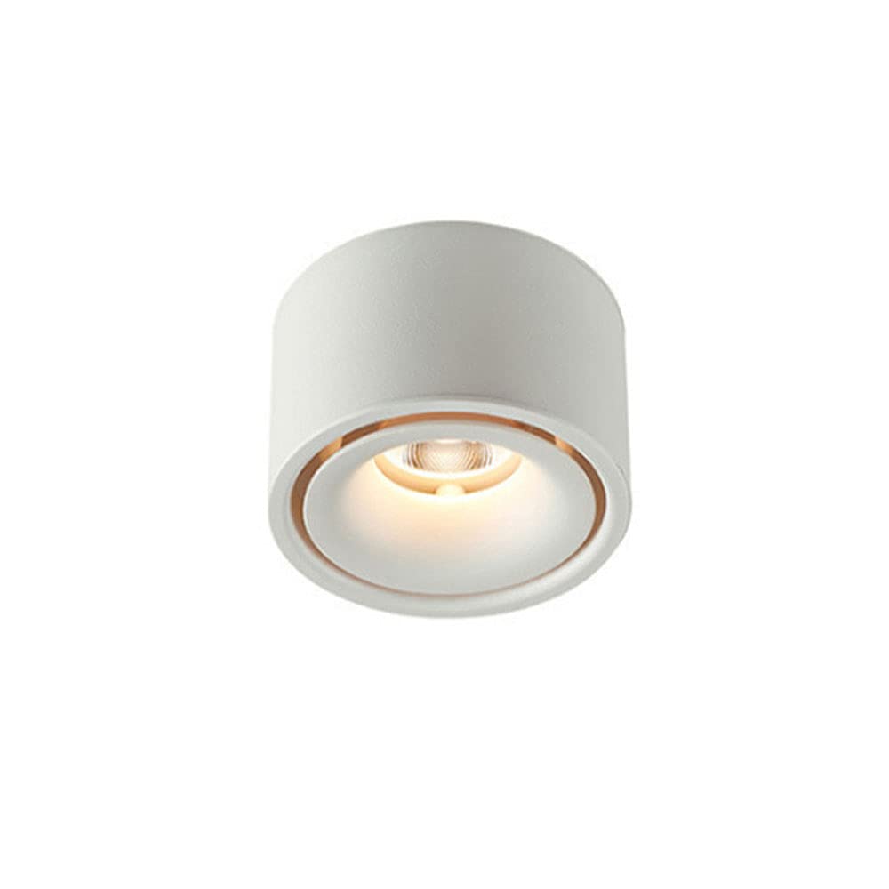 BHGFYXBS M Ceiling Spotlight, Ceiling Light Fixture, Dimmable, Aluminum Housing, 12W Surface Mounted Downlight, Gallery Picture Lighting, Indoor Directional Ceiling Spotlights,White3000k