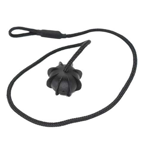 Correas de sujeción para bandeja de maletero de Golf MK5, MK6 y GTI