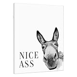Generisch Nice Ass Esel Bild Badezimmer Deko Mit Rahmen, WC 