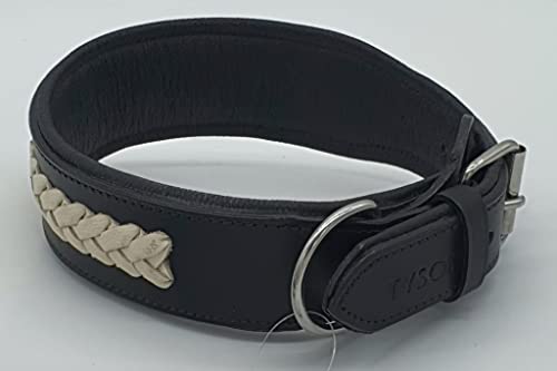 Glitzer-Hundehalsband Lila Oder Gold – Robustes Leder Mit Strass, Hohe Zugkraft, Verstellbar | Größen M & L