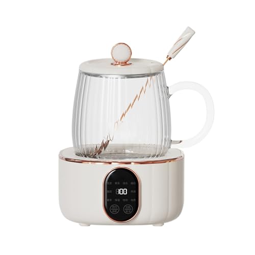 Tetera eléctrica de vidrio multifuncional 600ml miniatura 1