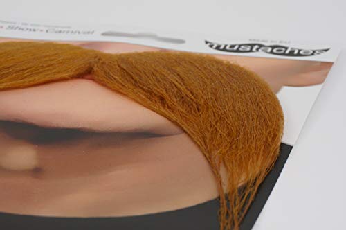 Alta qualità kung-fu Master baffi finti