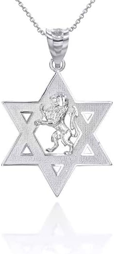 Claddagh Gold Solid .925 Sterling Silver Israel Lion of Judah Magen David Star Hebrew Pendant Necklace - Choice of Pendant Only or Chain Length