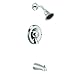 Moen T8389 Commercial Posi-Temp Pressure Balancing Tub/Shower 2.5 gpm, Chrome