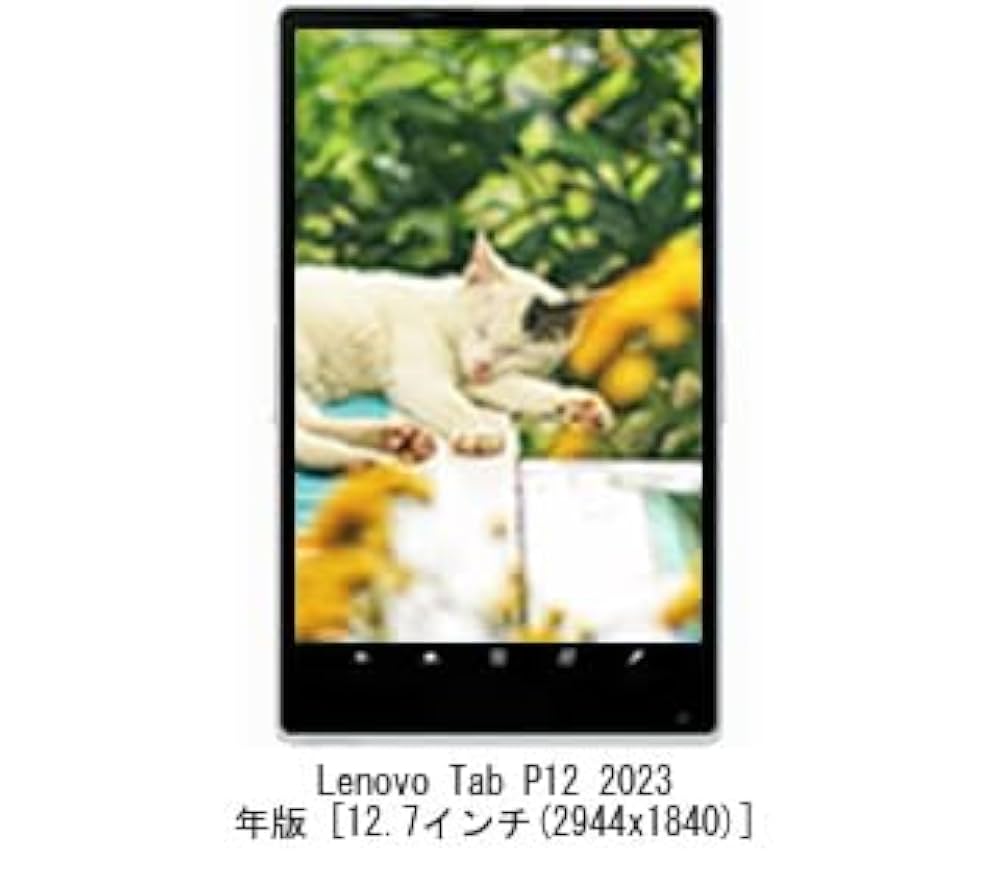 Amazon | メディアカバーマーケット Lenovo Tab P12 2023年版