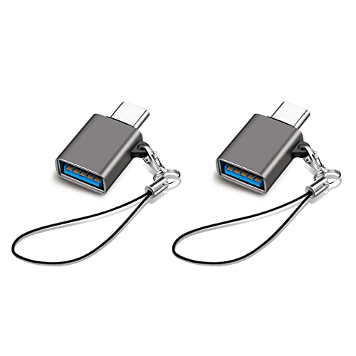 USB Type C & USB 変換アダプタ 2個セット Popolier USB3.2 Gen2 10Gbps高速転送 タイプC 変換 OTG対応 MacBook Pro 2021 MacBook Air 2022 iPad Pro 2021 及び ほかのUSB-C機器などに対応 USB-C変換コネクタ (2, ガン色)