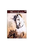otras razas de gatos  Nuestros Caballos: Otras razas DVD