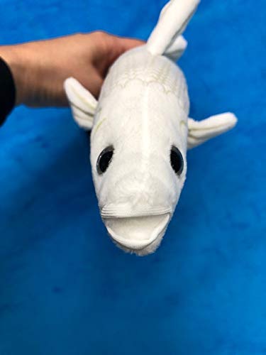 Amazon.co.jp: ティーエスティーアドバンス 釣り人 シロギス