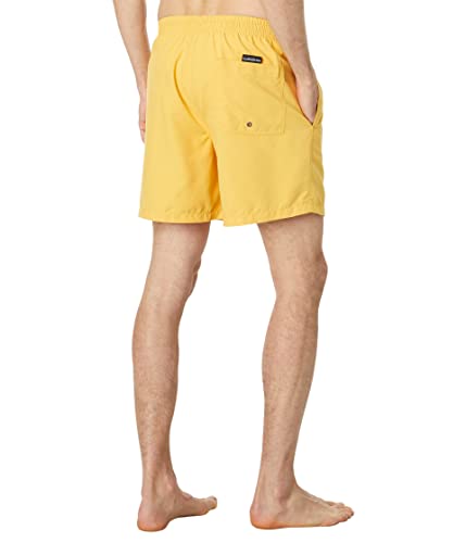 Quiksilver Men's Standard Everyday 17 Volley Swim Trunk Boardshort2