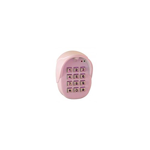 CLPEA Clavier A Codes Radio Digicode avec Boîtier en Plastique