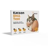 PEZZ DNA Test für Katzen zur Rassebestimmung & Erbkrankheiten | Gesundheitsrisiken frühzeitig erkennen, genetische Blutgruppe, Medikamentensensibilität & besondere Merkmale (Gentest)
