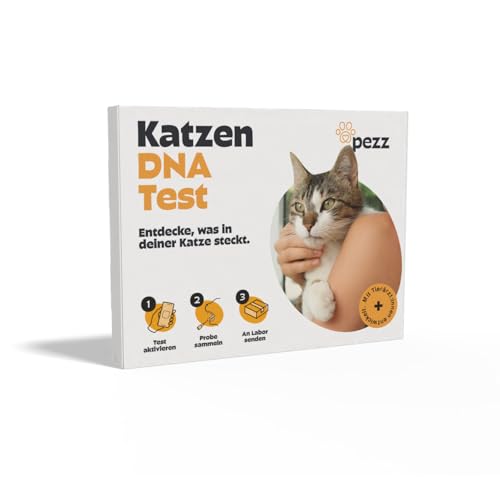 PEZZ DNA Test für Katzen zur Rassebestimmung & Erbkrankheiten | Gesundheitsrisiken frühzeitig erkennen, genetische Blutgruppe, Medikamentensensibilität & besondere Merkmale (Gentest)