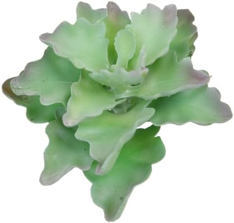 SN Decor Season's Need Pack of 2 Artificial Succulents Unpotted Small Fake Plants, Realistic Textured Mini Fake Succulent Picks Premium Crafting DIY Floral Décor (Frosted G. Kalanchoe)