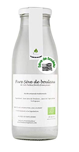 SEVE DE BOULEAU Bio 6 bouteilles à 7,80 € l'unité qualité Bretagne