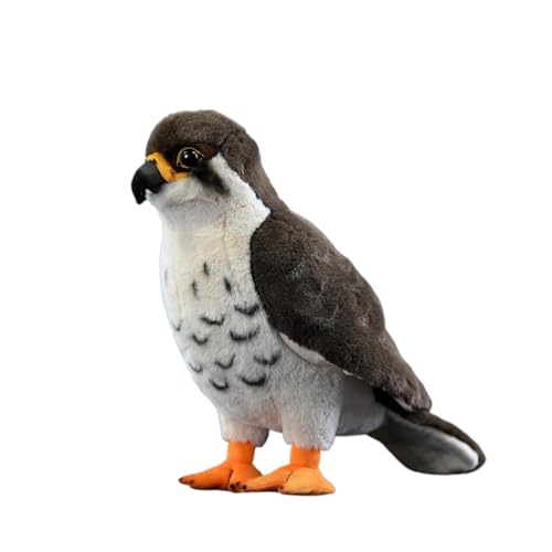SMJWH Giocattolo di peluche realistico falco pellegrino, animale pezza morbido uccello rapace, bambola coccolone realistica falconeria, regalo a tema natura for e adulti