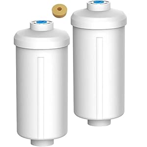 Gaoailin Store Vervanging van for Berkey PF-2 Fluoridefilter (2-delige set)-Alleen geschikt for Berkey-zuiveraars