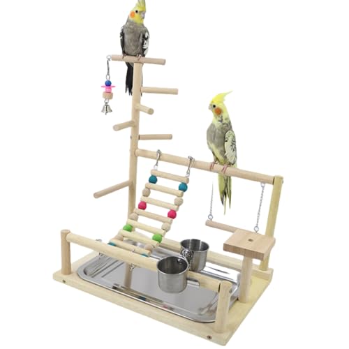 Bxzzuis CRZbg VуW VR ~܂ XCO ͂ g[jOX^h p O\ ȒP C^NeBuȃxr[T[NX^h (X^C2)