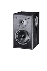 Monitor S10 D, Kompakter 2-Wege Dipol Rear-Lautsprecher, schwarz, 1 Paar