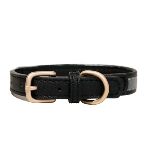 pցAA킢A^A^AU[ibhAMj (ubN)