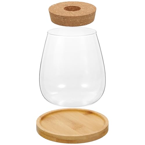 Homoyoyo Vase en Verre Hydroponique pour Plantes Succulentes Grand Format Support en Bambou 10 CM Pot Décoratif Transparent pour Bureau et Jardin Bougeoir en Verre Design Minimaliste