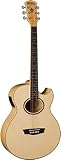 Washburn Festival Series EA20