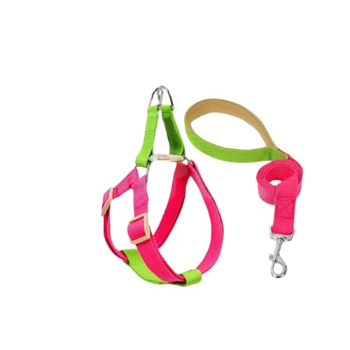  n[lX [h Zbg ^ ^ ^    Jt n[lX[h _uO v 2_Zbg ybg COTEN (G^Cv, L)