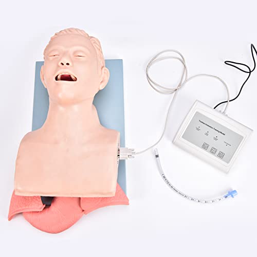 110V Intubation Manikin Teaching Model,Oral Nasal Intubation Airway Management Trainer PVC Demo